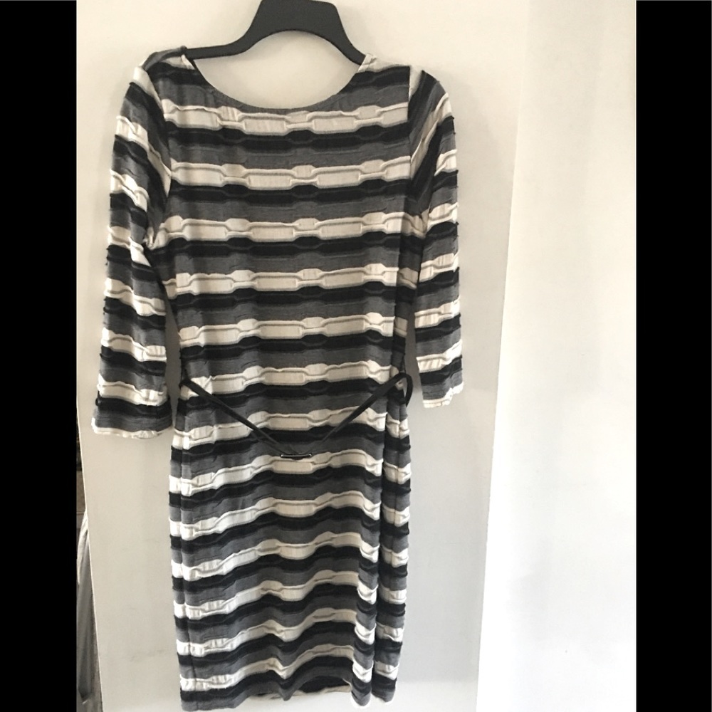 Sharagano long sleeve textured dress size 12